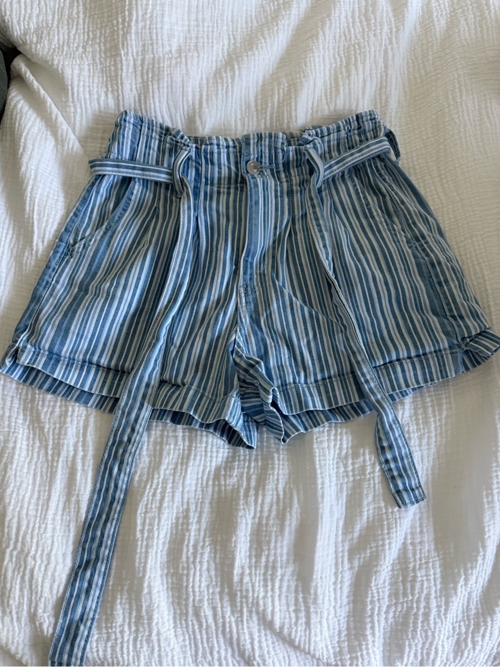 American Eagle Outfitters Blue and White Striped Paperbag Waist Shorts